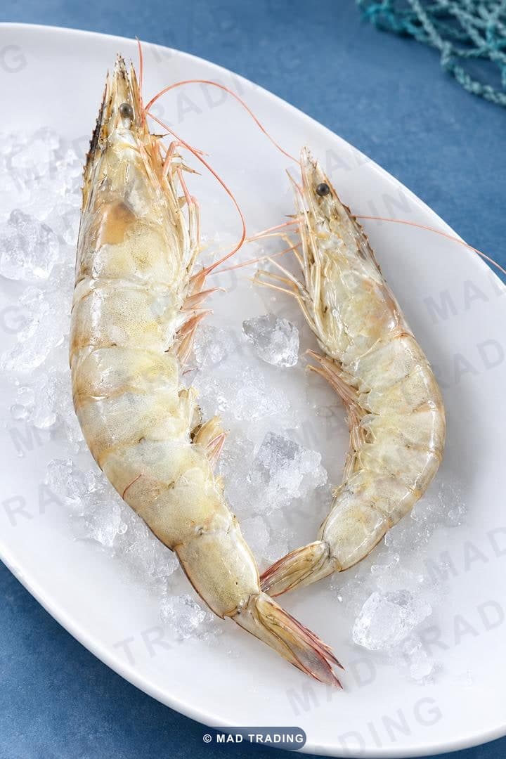 Whole raw white shrimp
