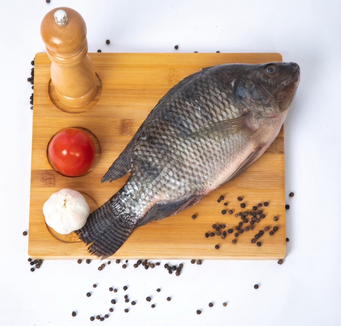 Poisson carpe tilapia