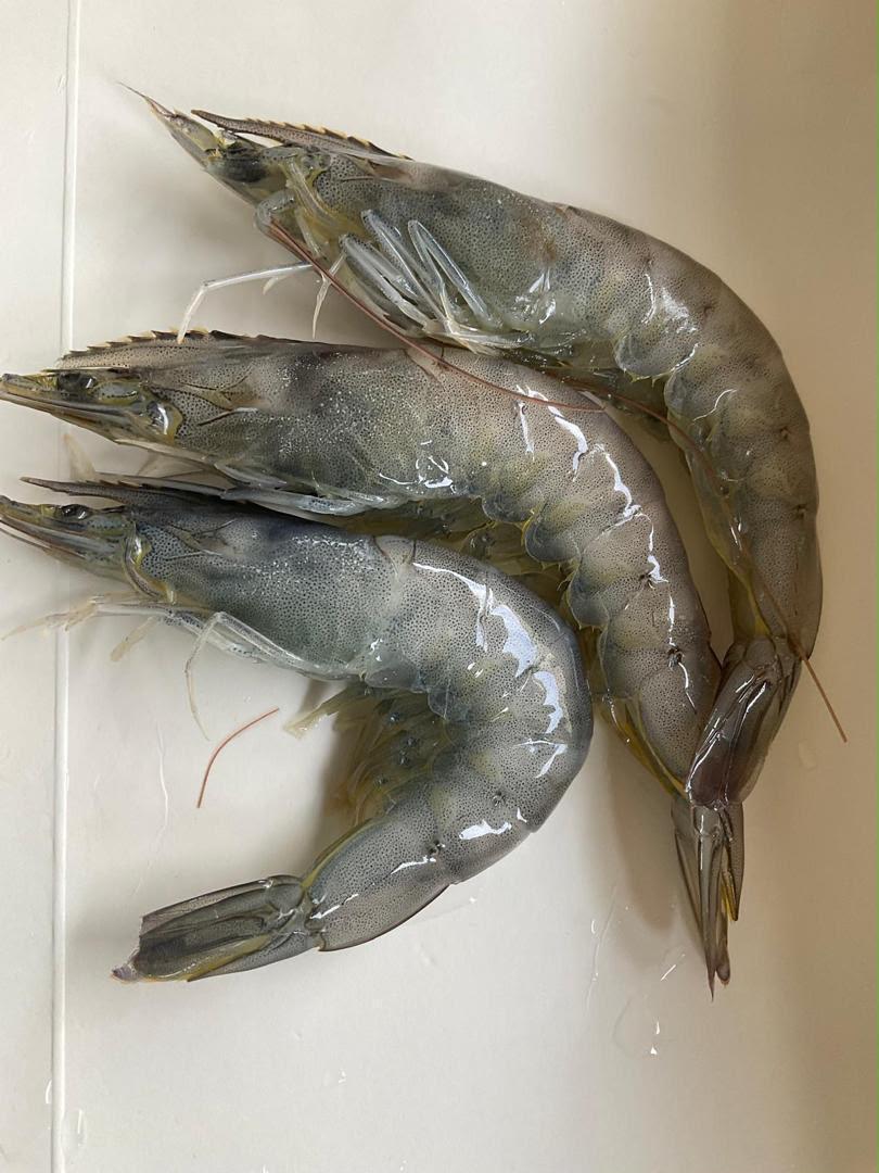 Crevettes grises entières crues — photo 1