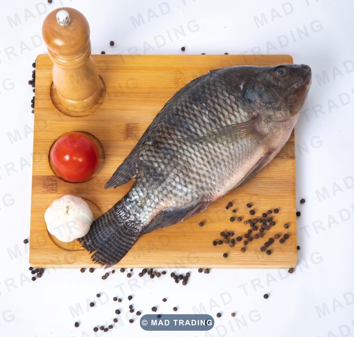 Poissons carpes tilapias — photo 1